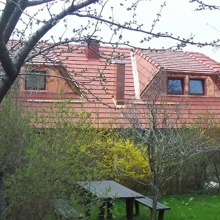 Tisa